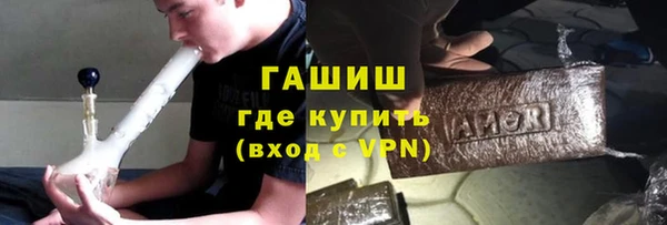 гашик Алексин