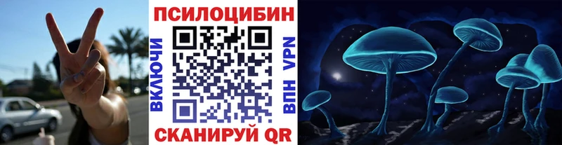 закладка  Чулым  Галлюциногенные грибы ЛСД 